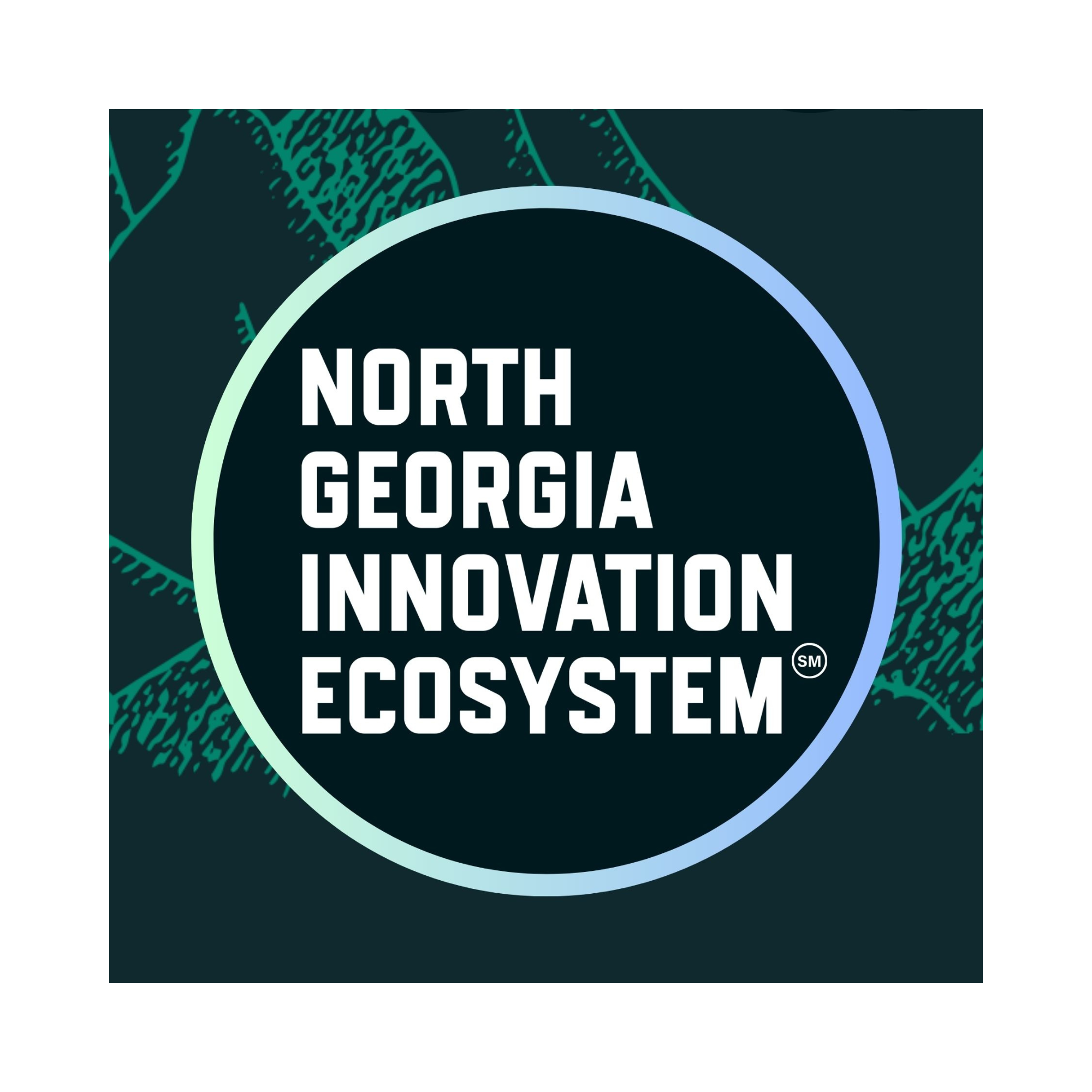 North Georgia Innovation Ecosystem